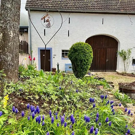 Vulkaneifel Apartment *