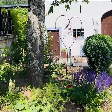 Vulkaneifel Apartment Schutz