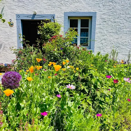 Apartment Vulkaneifel *