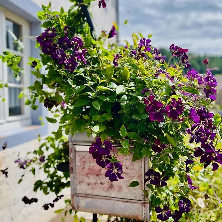 Vulkaneifel Apartment
