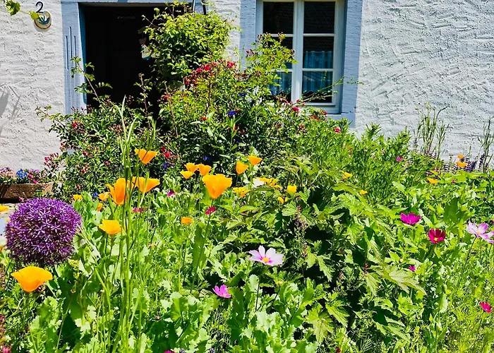 公寓 Vulkaneifel *