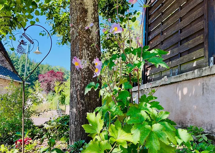 Vulkaneifel 公寓 *